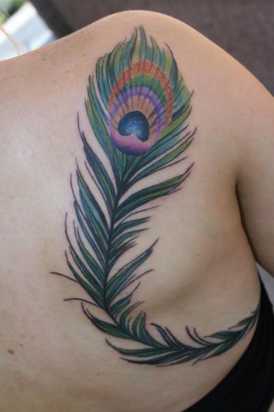 Colorful Peacock Feather Tattoo On Right Back Shoulder