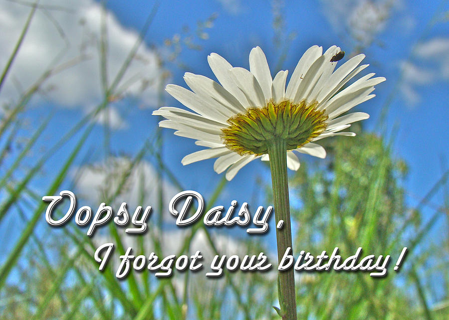 Daisy I Forgot Your Birthday