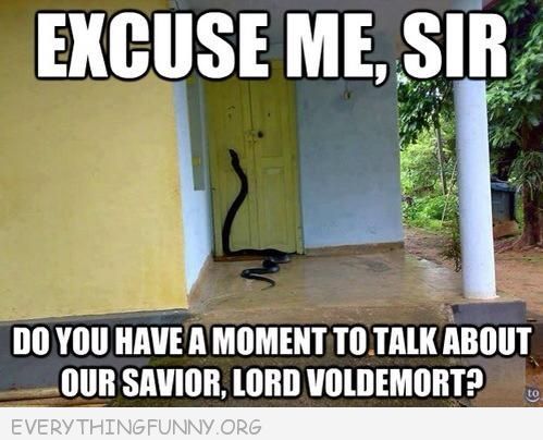 Do You Have A Moment To Talk About Our Savior Lord Voldemort Funny Snake Meme
