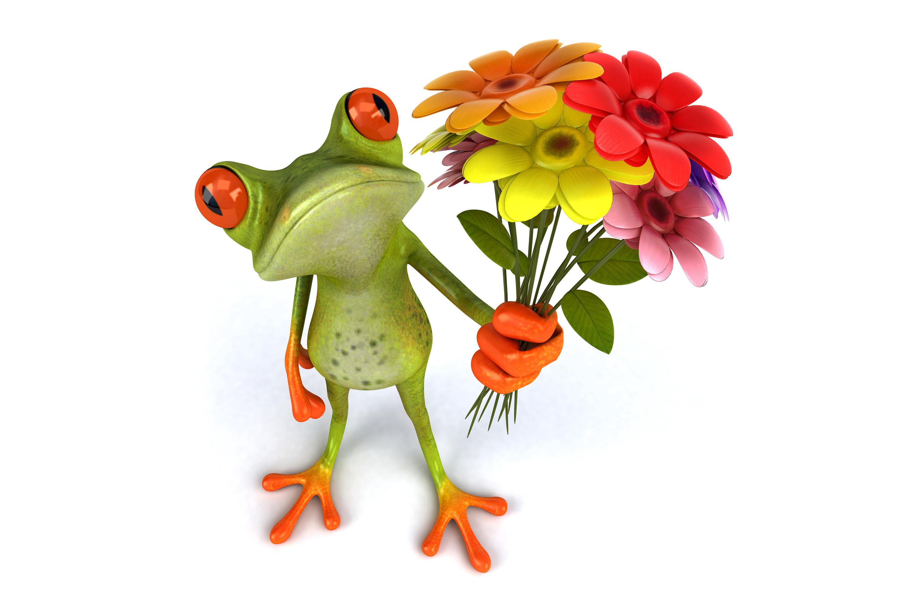 Funny Flowers 