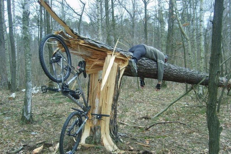 Funny Bicycle Fall In Forest