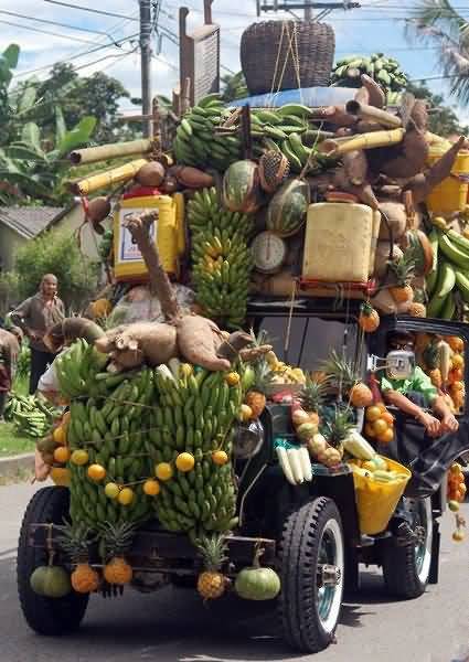 Funny Fruits Truck Image