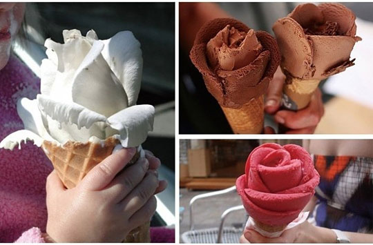 Funny Ice Cream Flower Picture