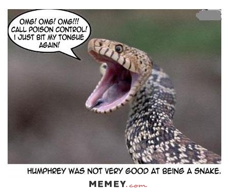 Funny Snake Without Teeth