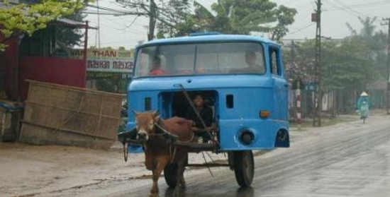 Funny Truck Cart Picture