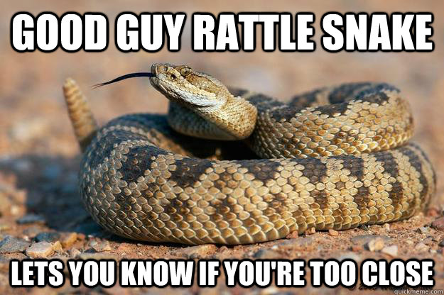 Good Guy Rattle Snake Lets You Know If You Know You Are Too Close Funny Meme