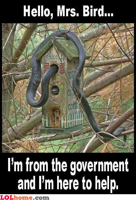 I Am From The Government And I Am Here To Help Funny Snake Meme