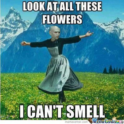 I Can't Smell Funny Flower Meme