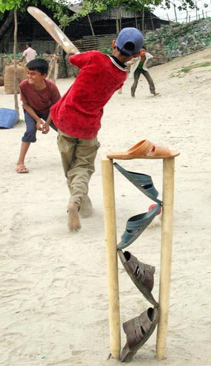 Indian Cricket Funny Wicket Image