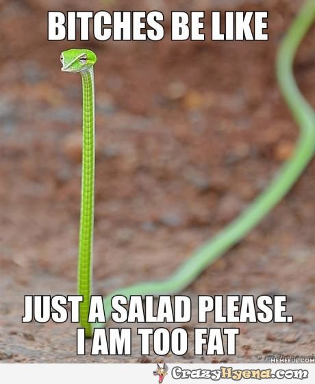 Just A Salad Please I Am Too Fat Funny Snake Meme