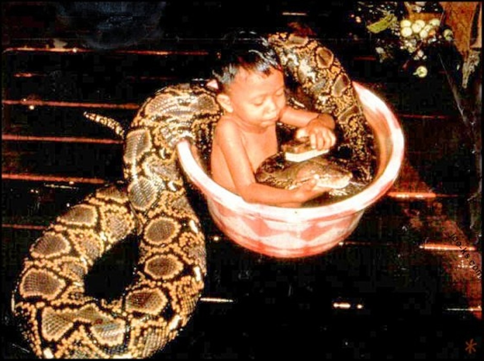 Kid Bathing With Snake Funny Picture