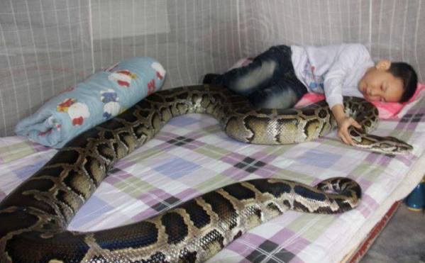 Kid Sleeping With Snake Funny Picture