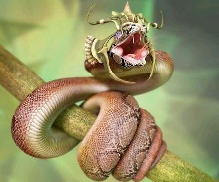 Laughing Face Funny Snake