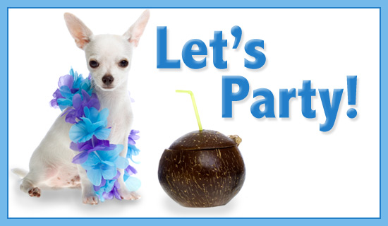 Let's Party Little Dog