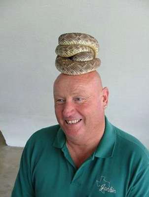 Man With Snake Hat Funny Picture