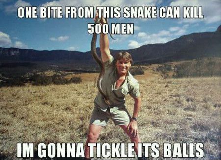 One Bite From This Snake Can Kill 500 Men Funny Snake Meme