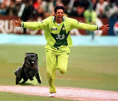 Pakistani Player Escaping From Dog Funny Cricket Picture