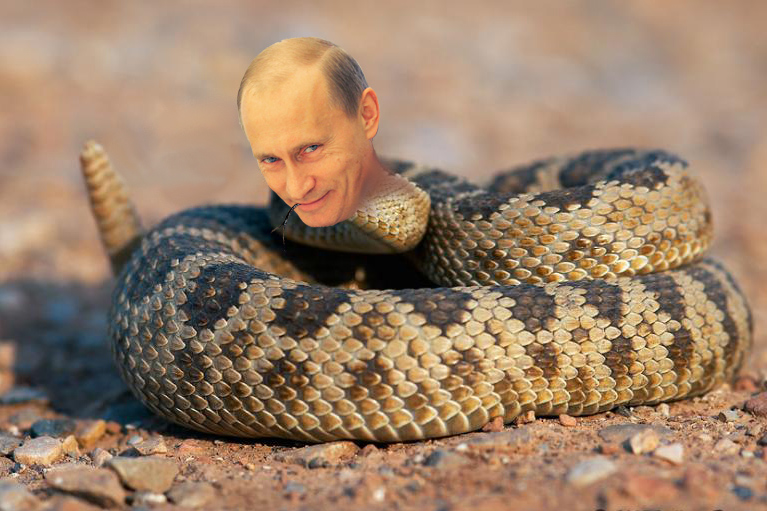 Rattle Snake With Man Face Funny Photoshopped Image