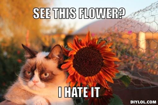 See This Flower I Hate It Funny Meme
