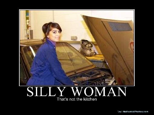 Silly Woman That's Not The Kitchen Funny Woman Poster