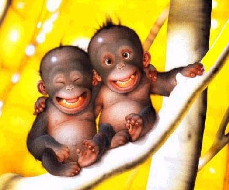 Smiling Monkey Babies