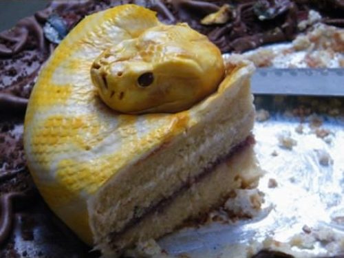 Snake Cake Funny Image