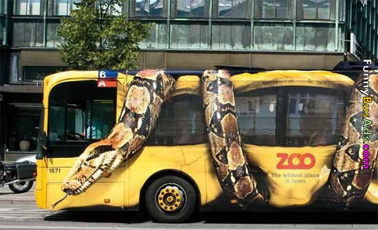 Snake Crashing Bus Funny Picture