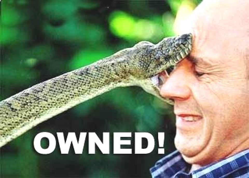 Snake Eating Man's Face Funny Picture