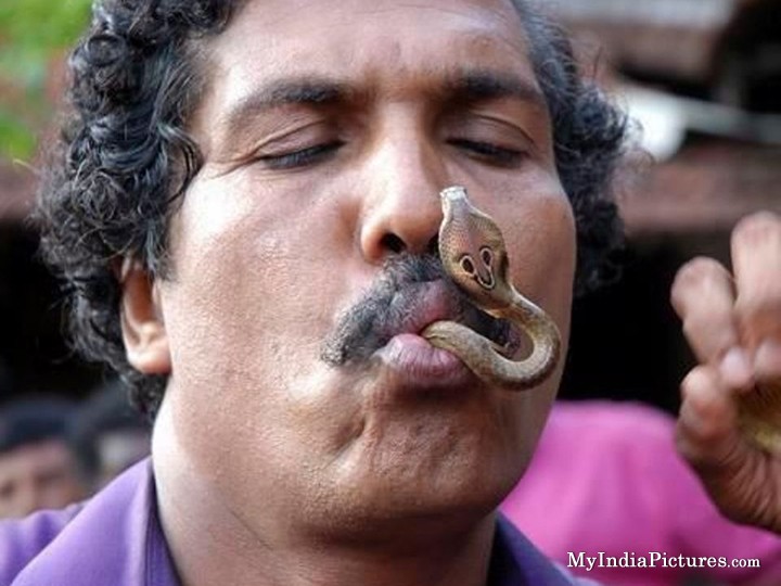 Snake In Man Mouth Funny Image