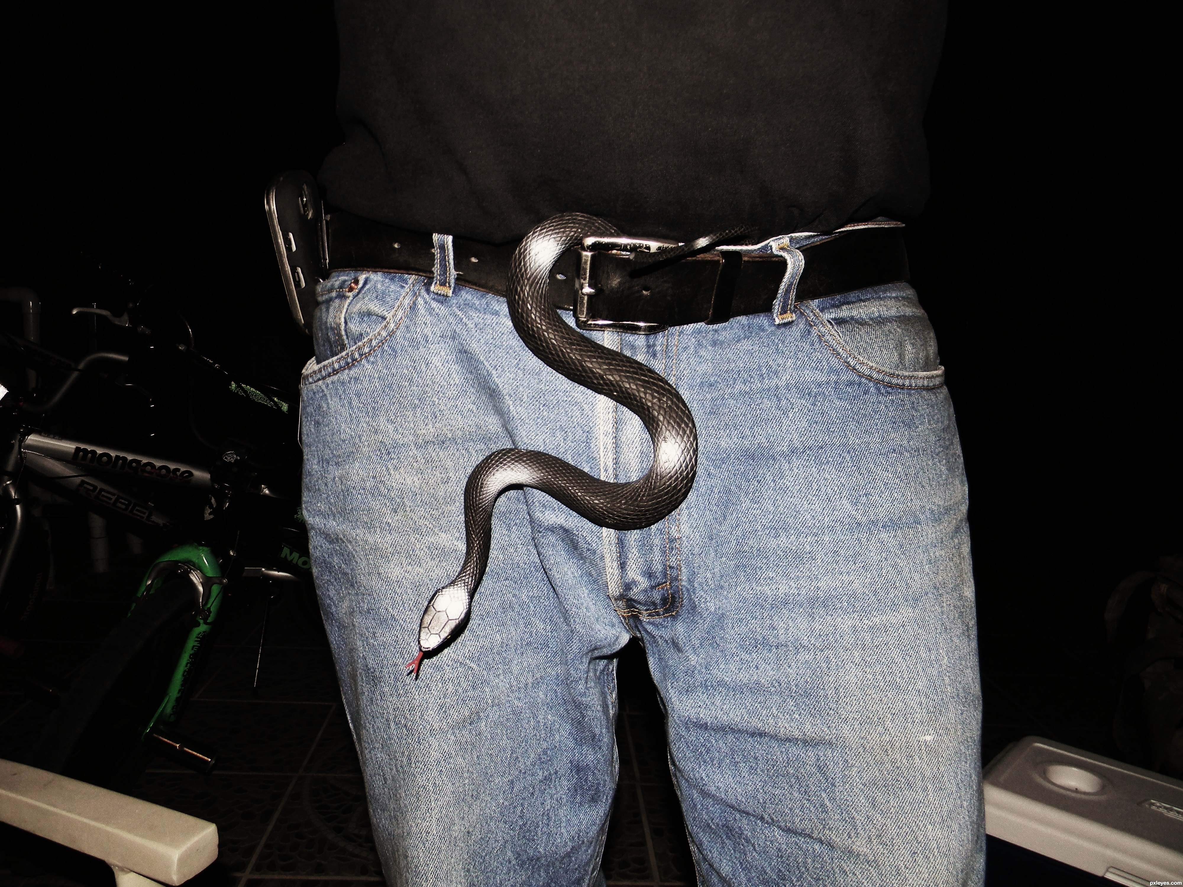 Snake Out Of Jean Funny Picture
