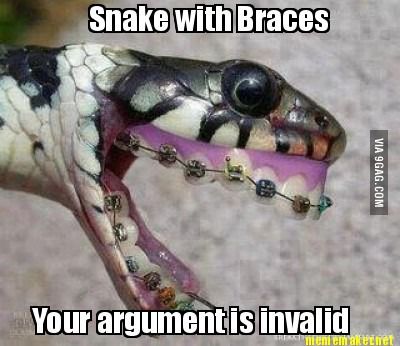 Snake With Braces Your Argument Is Invalid Funny Picture
