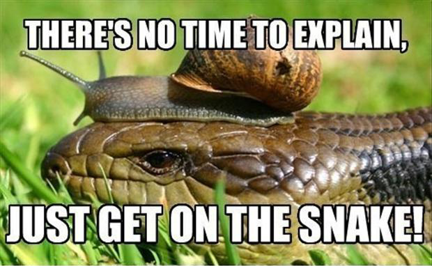 There's No Time To Explain Just Get On The Snake Funny Meme