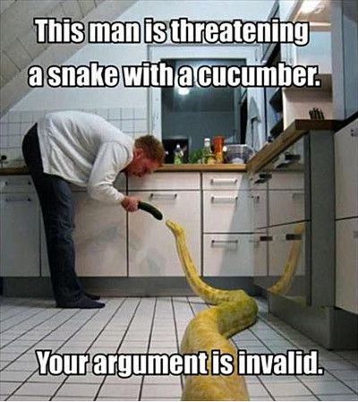 This Man Is Threatening A Snake With A Cucumber Your Argument Is invalid Funny Snake Meme