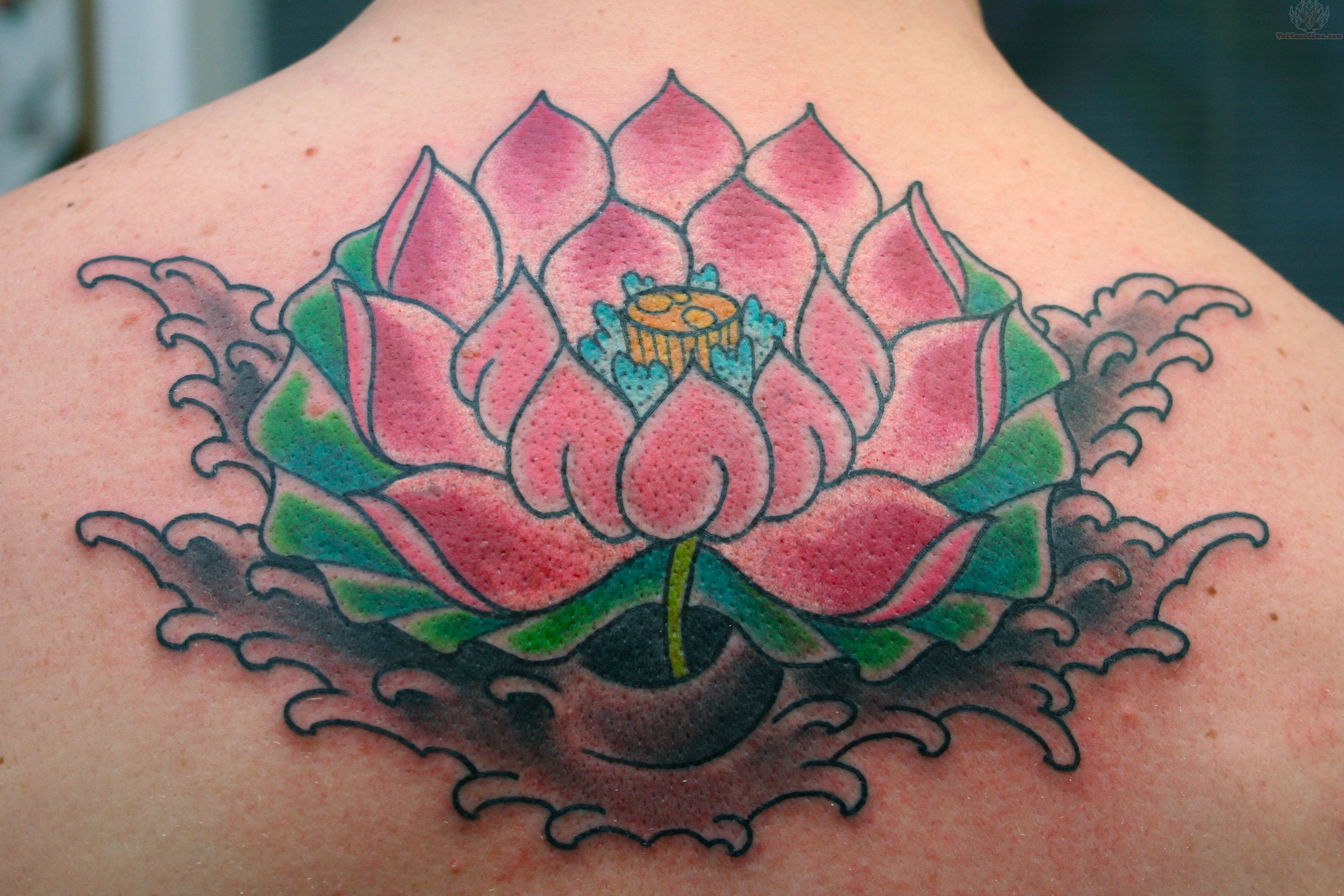 Traditional Pink Lotus Tattoo On Upper Back