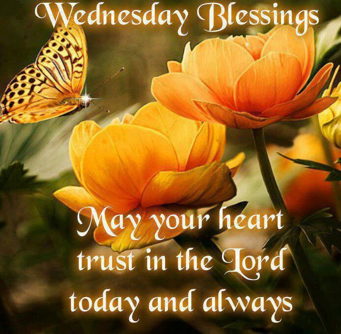 Wednesday Blessings May Your Heart Trust In The Lord Today And Always