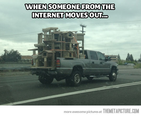 When Someone From The Internet Moves Out Funny Truck Caption