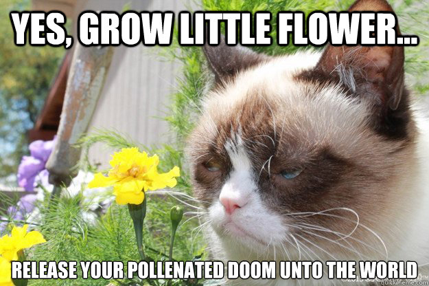 Yes Grow Little Flower Funny Meme