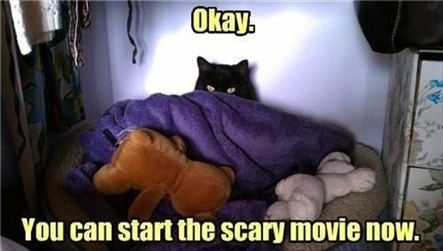 You Can Start The Scary Movie Now Funny Caption