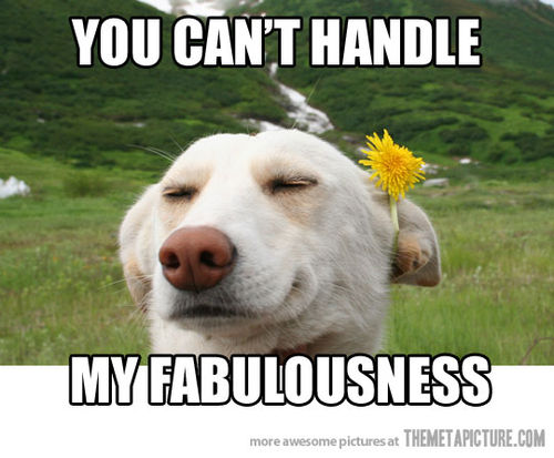 You Can’t Handle My Fabulousness Funny Flower Meme