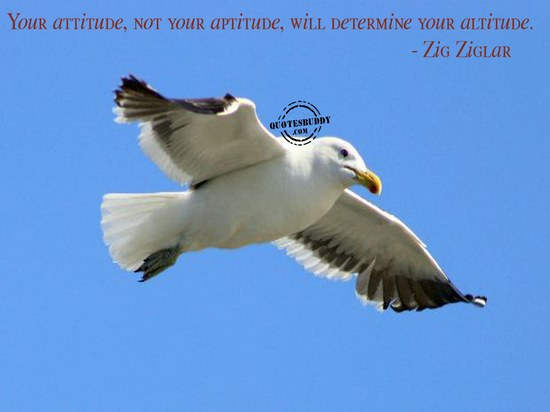 Your Attitude, Not Your Aptitude Will Determine Your Altitude