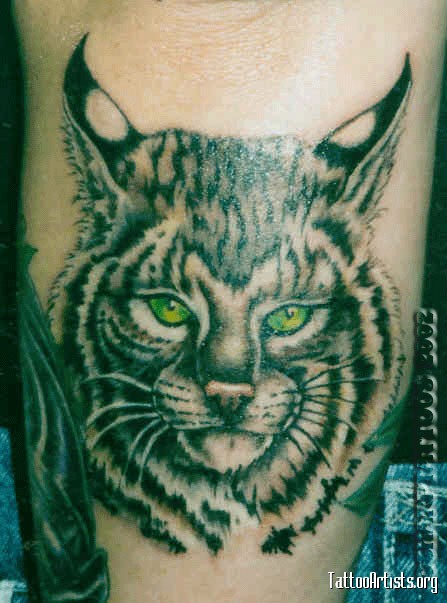 Amazing Bobcat Head Tattoo Design