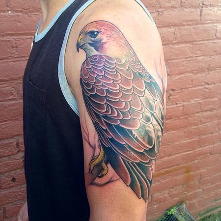 Amazing Hawk Sit On Branch Tattoo On Left Half Sleeve By Jeff Norton