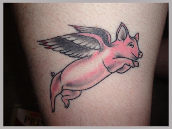 Amazing Pig With Wings Tattoo Design