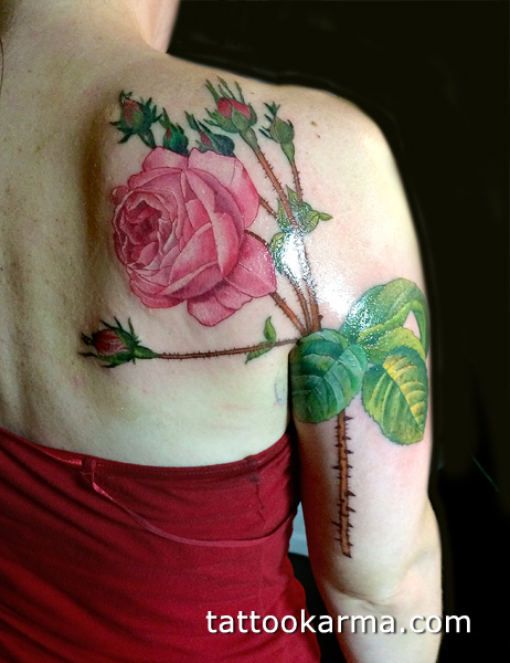 Amazing Pink Roses With Leaves Tattoo On Right Back Shoulder