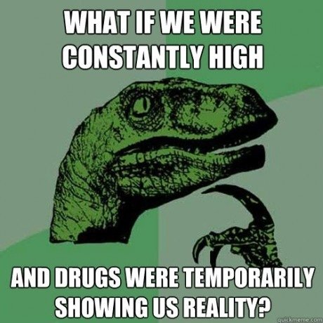 And Drugs Were Temporarily Showing Us Reality Funny Meme