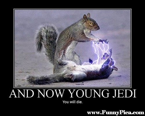 And Now Young Jedi You Will Die Funny Squirrel Poster