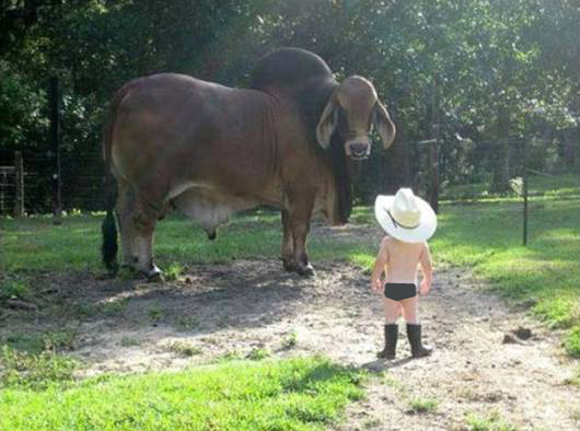 Baby Cowboy Funny Picture