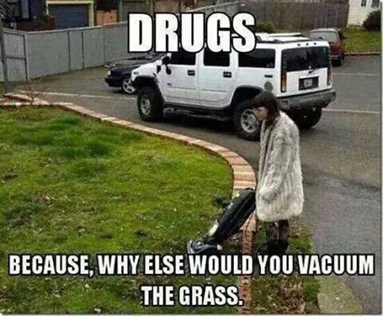 Because Why Else Would You Vacuum The Grass Funny Drug