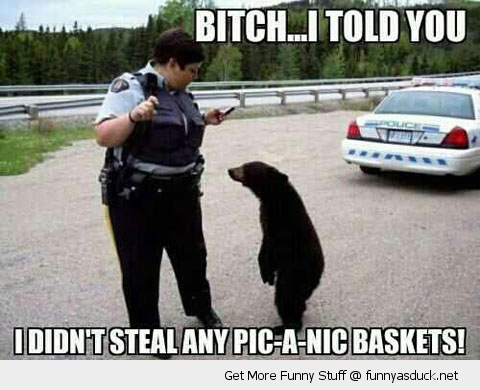 Bitch I Told You I Didn't Steal Any Pic-A-Nic Baskets Funny Cop Meme