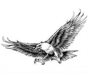 Black And Grey Flying Hawk Tattoo Design